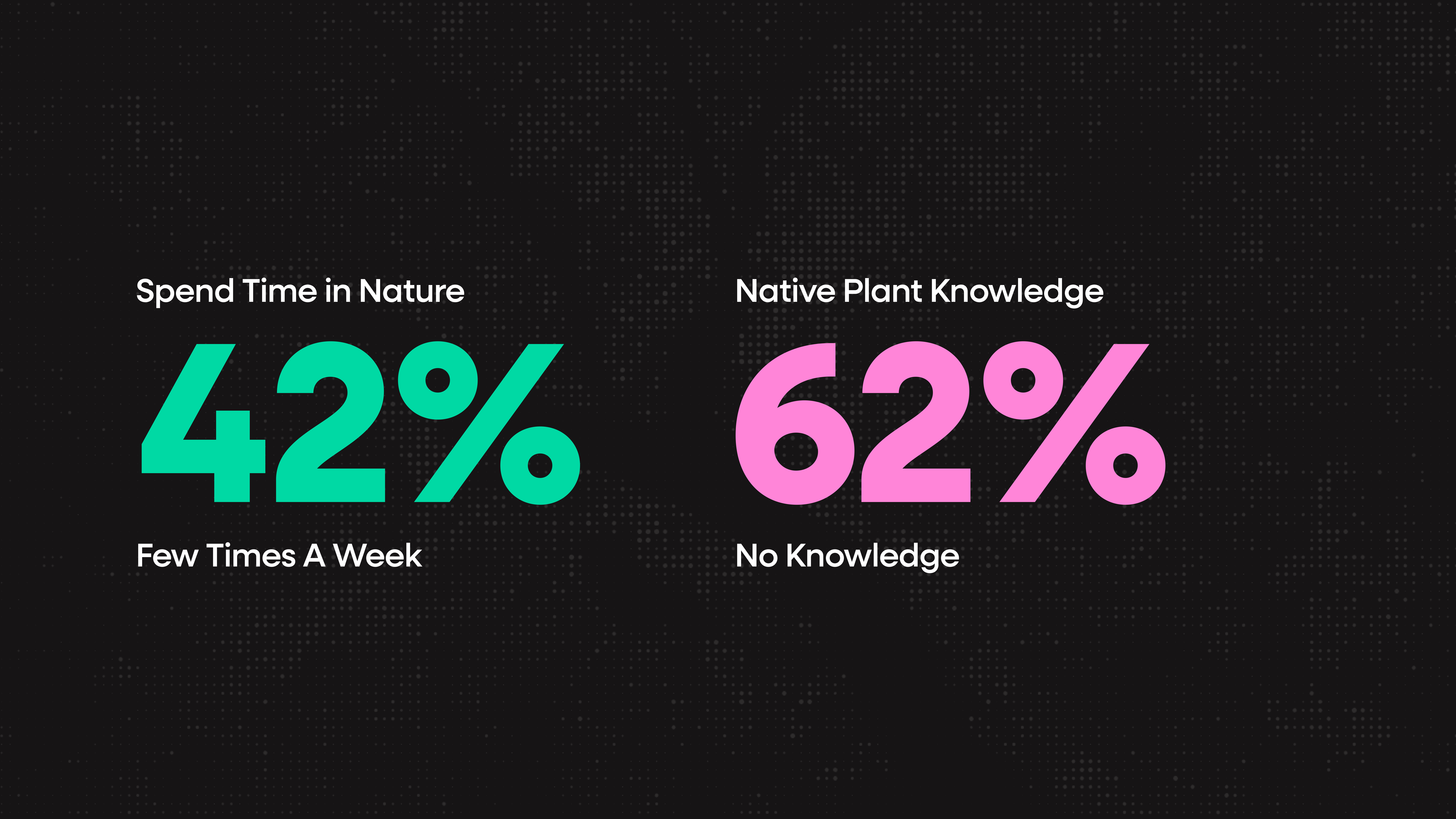 Survey insights