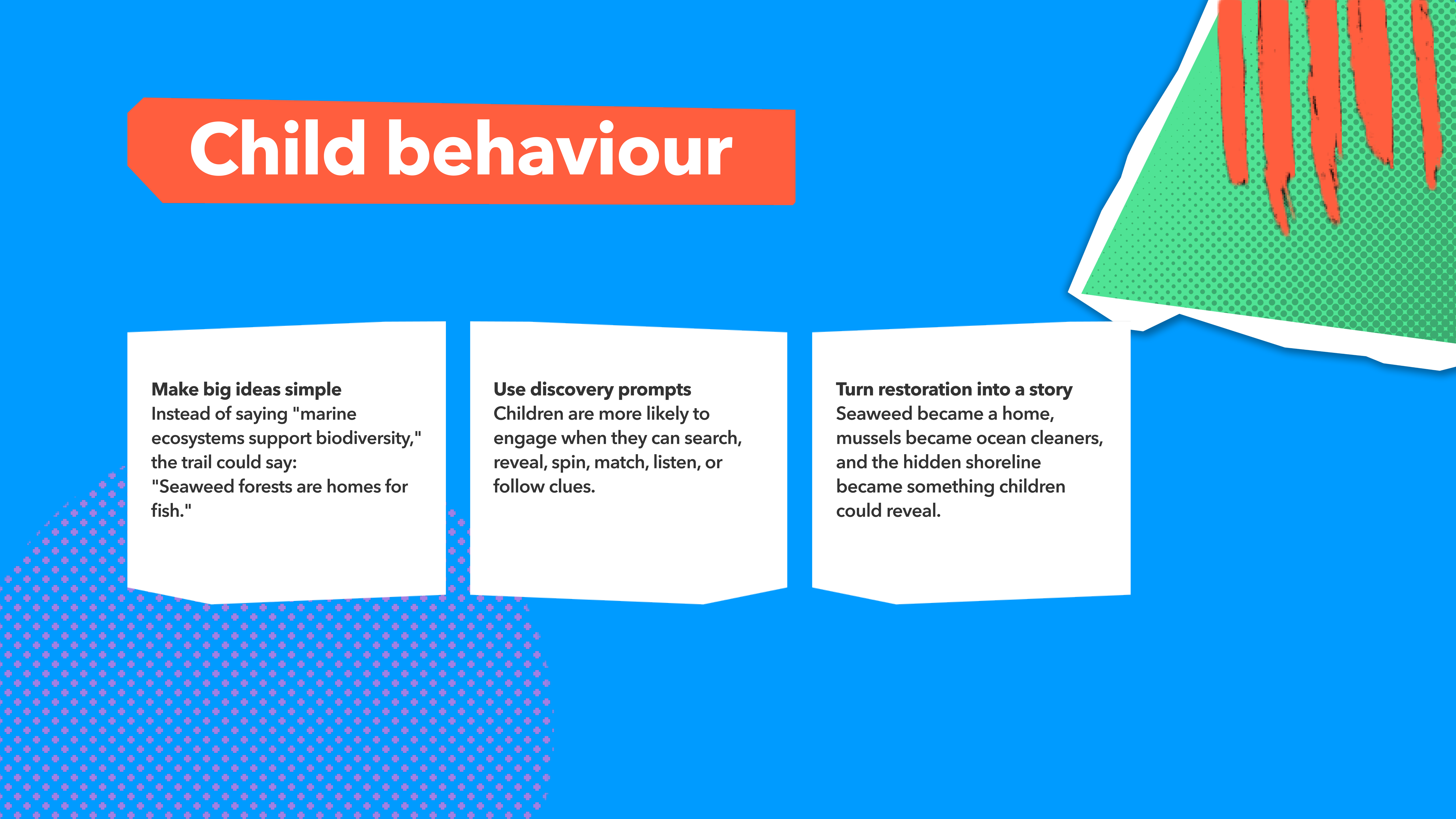 Child behaviour and interaction research board