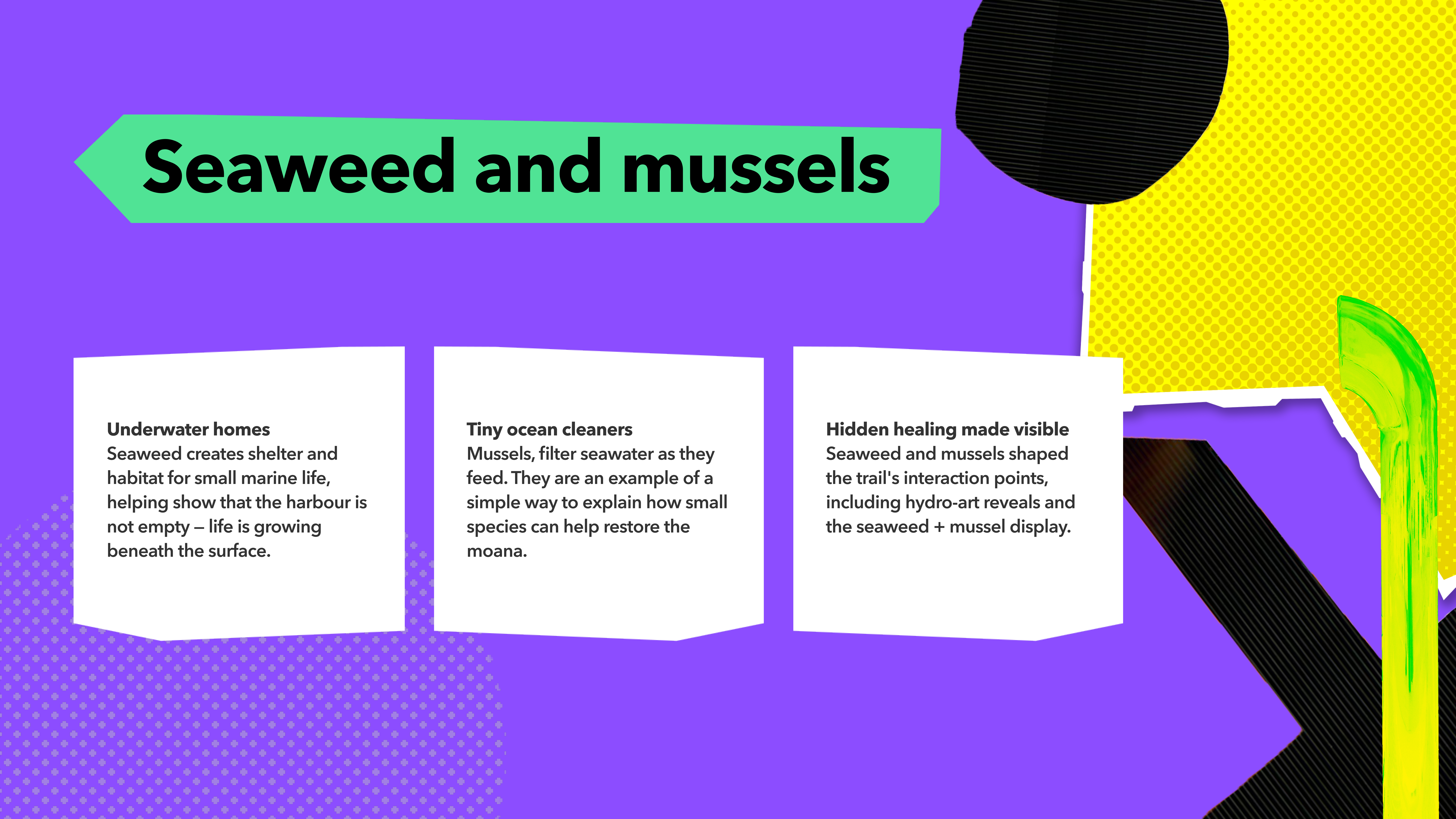 Seaweed and mussel research board