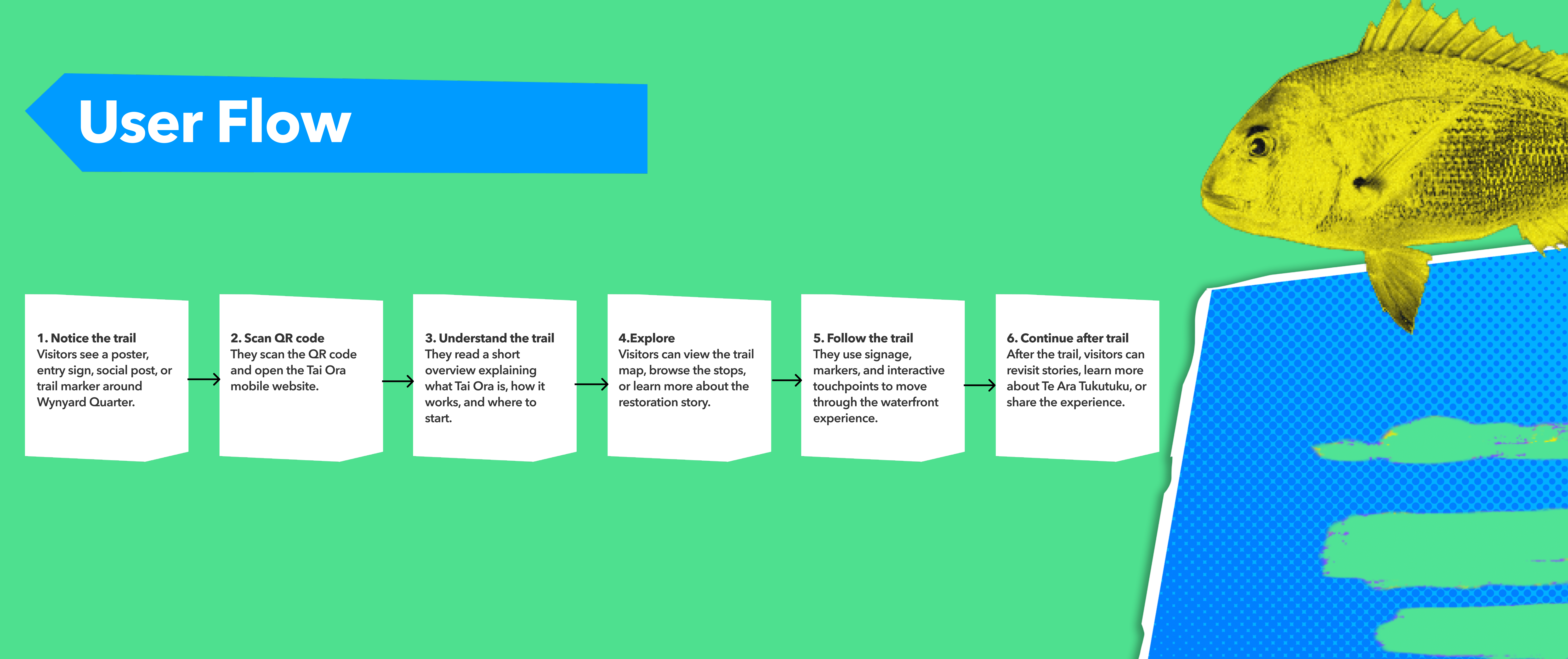 User flow